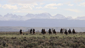 AFBF Challenges BLM Rule that Destabilizes Ranching