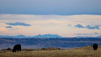 WyFB Statement on Proclamation on Beef Imports