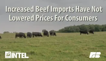 Increased Beef Imports Have Not Lowered Prices For Consumers