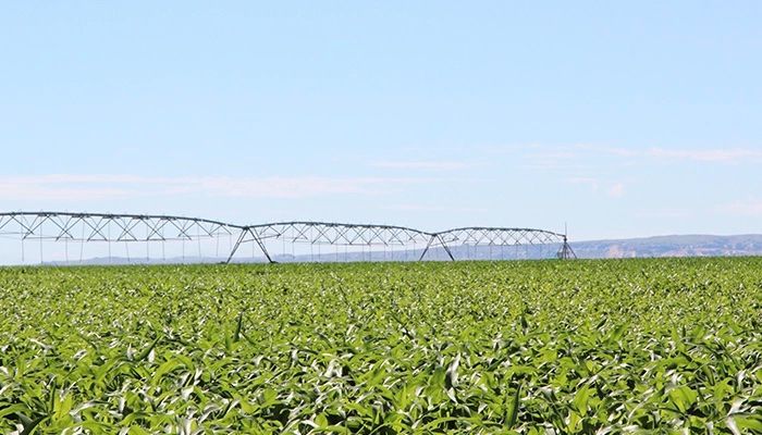 WyFB Statement on Harvest Fuel Relief Program