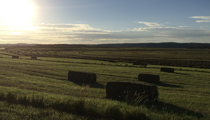 Wyoming Needs Agriculture Day at UW Football Game Sept. 23