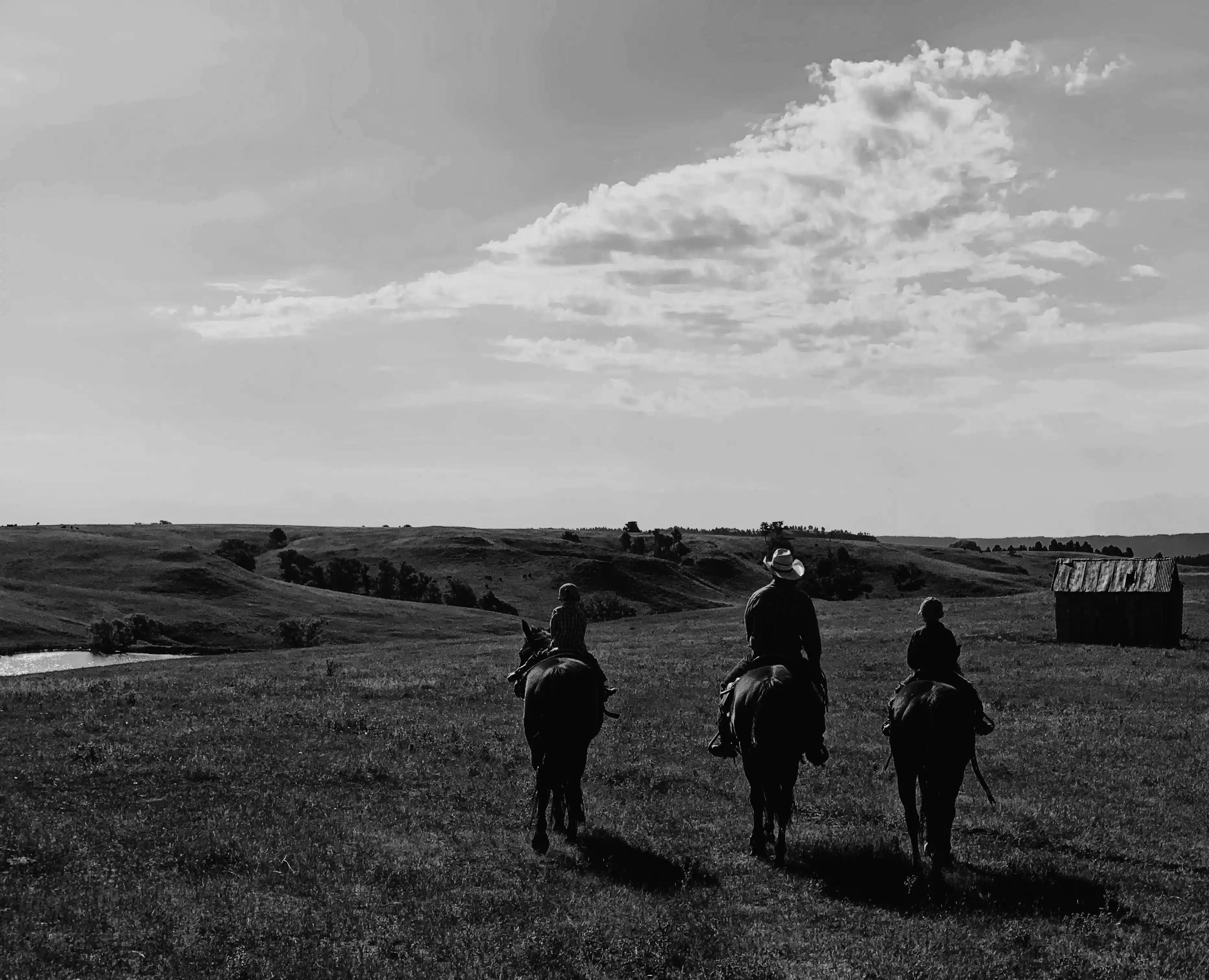 Family riding horses through the countryside.